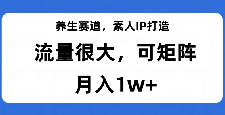 养生赛道，素人IP打造，流量很大，可矩阵，月入1w+【揭秘】-高清美女套图，你想要的都有。