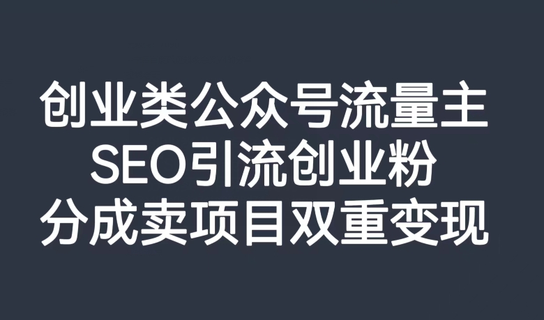 创业类公众号流量主，SEO引流创业粉，分成卖项目双重变现【揭秘】-高清美女套图，你想要的都有。