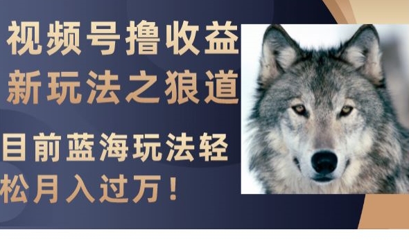 视频号撸收益新玩法之狼道，目前蓝海玩法，轻松月入过万【揭秘】-高清美女套图，你想要的都有。