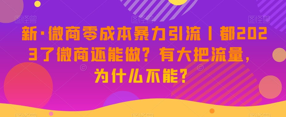 新·微商零成本暴力引流丨都2023了微商还能做？有大把流量，为什么不能？-高清美女套图，你想要的都有。