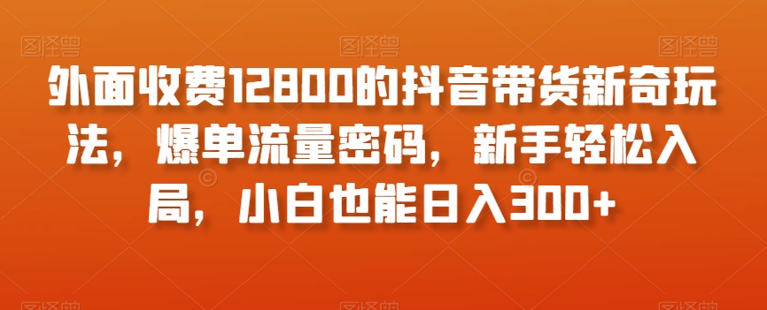 外面收费12800的抖音带货新奇玩法，爆单流量密码，新手轻松入局，小白也能日入300+【揭秘】-高清美女套图，你想要的都有。