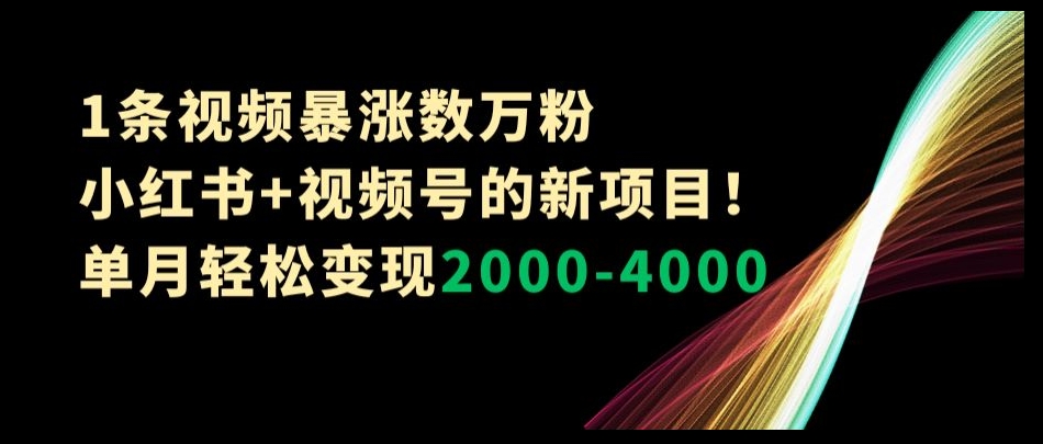 1条视频暴涨数万粉–小红书+视频号的新项目！单月轻松变现2000-4000【揭秘】-高清美女套图，你想要的都有。