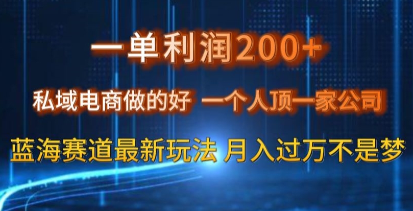 一单利润200私域电商做的好，一个人顶一家公司蓝海赛道最新玩法【揭秘】-高清美女套图，你想要的都有。