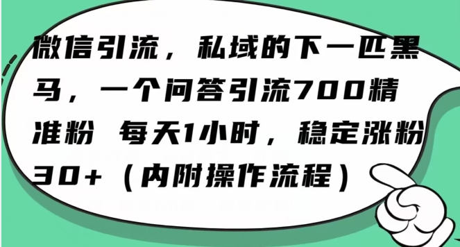 怎么搞精准创业粉？微信新赛道，每天一小时，利用Ai一个问答日引100精准粉-高清美女套图，你想要的都有。