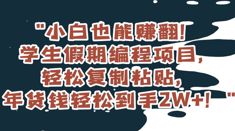 小白也能赚翻！学生假期编程项目，轻松复制粘贴，年货钱轻松到手2W+【揭秘】-高清美女套图，你想要的都有。