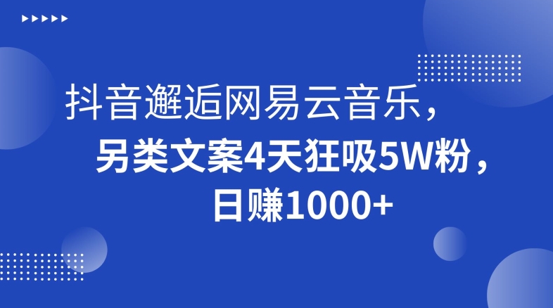 抖音邂逅网易云音乐，另类文案4天狂吸5W粉，日赚1000+【揭秘】-高清美女套图，你想要的都有。