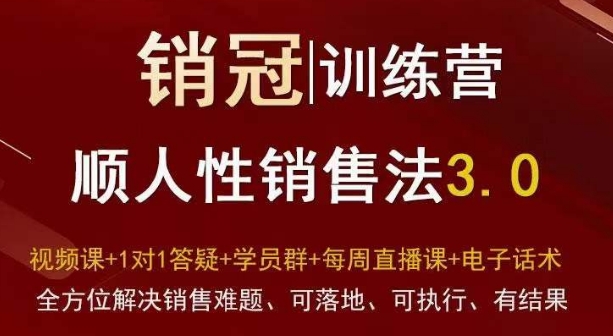 爆款！销冠训练营3.0之顺人性销售法，全方位解决销售难题、可落地、可执行、有结果-高清美女套图，你想要的都有。