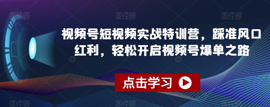 视频号短视频实战特训营，踩准风口红利，轻松开启视频号爆单之路-高清美女套图，你想要的都有。