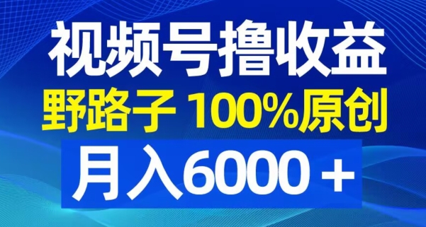 视频号野路子撸收益，100%原创，条条爆款，月入6000＋【揭秘】-高清美女套图，你想要的都有。