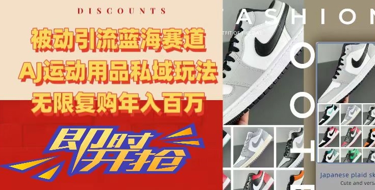 被动引流蓝海赛道，AJ运动用品私域玩法，无限复购年入百万【揭秘】-高清美女套图，你想要的都有。