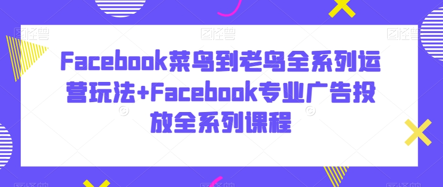 Facebook菜鸟到老鸟全系列运营玩法+Facebook专业广告投放全系列课程-高清美女套图,你想要的都有。