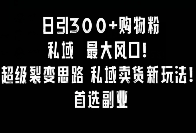 日引300+购物粉，超级裂变思路，私域卖货新玩法，小红书首选副业【揭秘】-高清美女套图，你想要的都有。