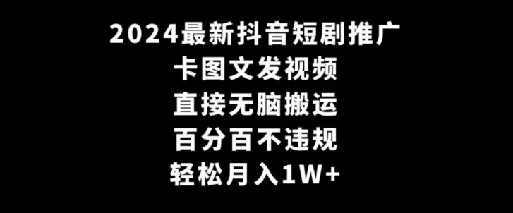 2024最新抖音短剧推广，卡图文发视频，直接无脑搬，百分百不违规，轻松月入1W+【揭秘】-高清美女套图，你想要的都有。