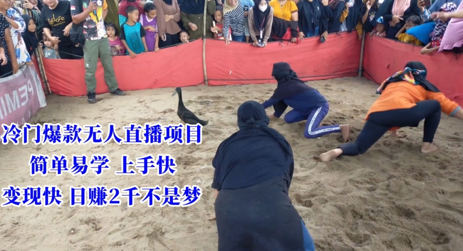 冷门爆款无人直播项目，简单易学上手快，变现快日赚2千不是梦【揭秘】-高清美女套图，你想要的都有。