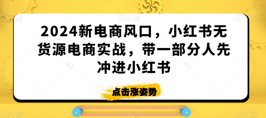 2024新电商风口，小红书无货源电商实战，带一部分人先冲进小红书-高清美女套图，你想要的都有。