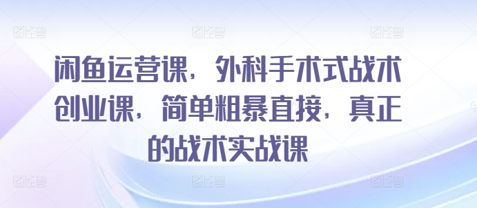 闲鱼运营课，外科手术式战术创业课，简单粗暴直接，真正的战术实战课-高清美女套图，你想要的都有。
