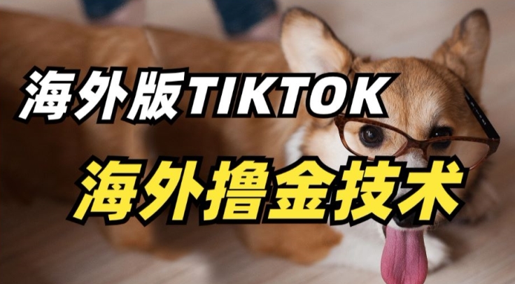 抖音海外版tiktok撸金技术，这个风口行业，赚钱真的不难【揭秘】-高清美女套图，你想要的都有。