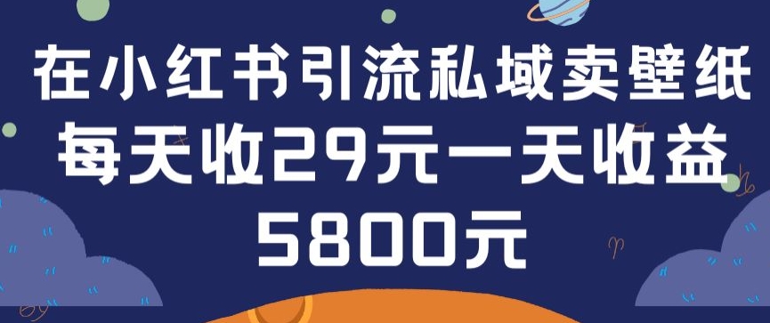 在小红书引流私域卖壁纸每张29元单日最高卖出200张(0-1搭建教程)【揭秘】-高清美女套图，你想要的都有。