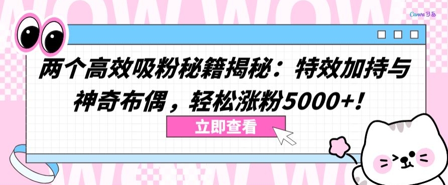 两个高效吸粉秘籍揭秘：特效加持与神奇布偶，轻松涨粉5000+【揭秘】-高清美女套图，你想要的都有。