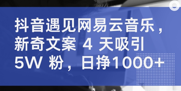 抖音遇见网易云音乐，新奇文案 4 天吸引 5W 粉，日挣1000+【揭秘】-高清美女套图，你想要的都有。