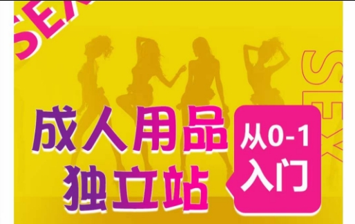 成人用品独立站从0-1入门，成品独立站运营全流程教学，七大好卖成品独立站推荐-高清美女套图，你想要的都有。