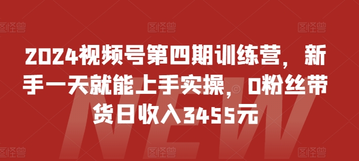 2024视频号第四期训练营，新手一天就能上手实操，0粉丝带货日收入3455元-高清美女套图，你想要的都有。