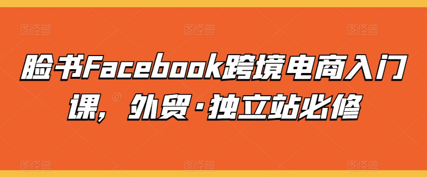 脸书Facebook跨境电商入门课，外贸·独立站必修-高清美女套图，你想要的都有。