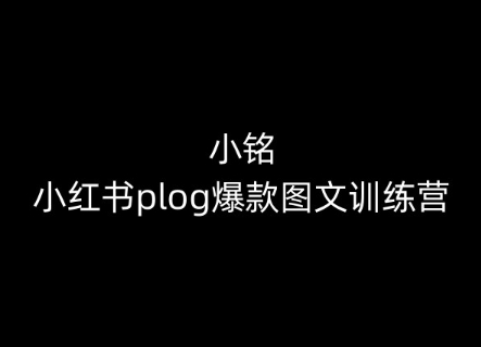 小铭-小红书plog爆款图文训练营，教你从0-1做小红书-高清美女套图，你想要的都有。