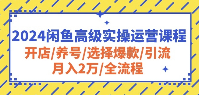 2024闲鱼高级实操运营课程：开店/养号/选择爆款/引流/月入2万/全流程-高清美女套图，你想要的都有。