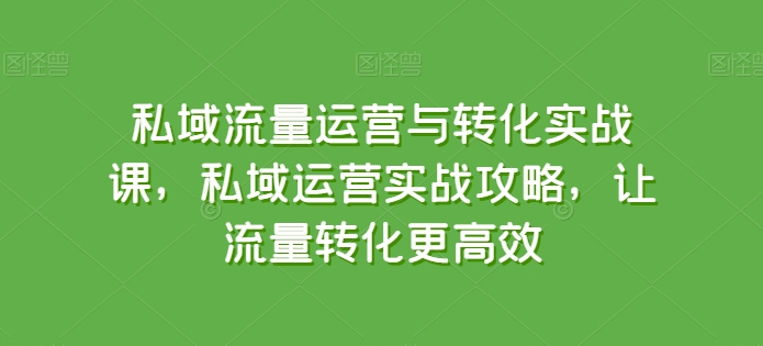 私域流量运营与转化实战课，私域运营实战攻略，让流量转化更高效-高清美女套图，你想要的都有。