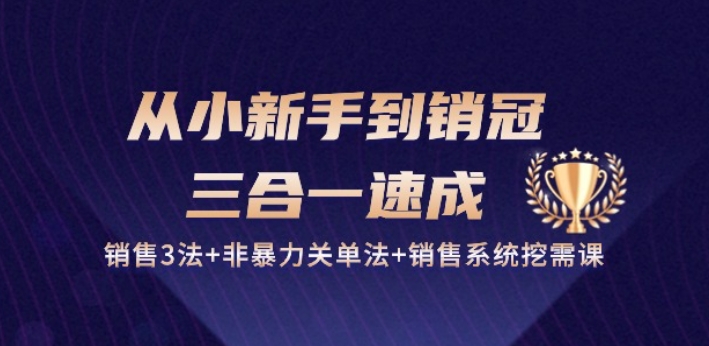 从小新手到销冠 三合一速成：销售3法+非暴力关单法+销售系统挖需课 (27节)-高清美女套图，你想要的都有。