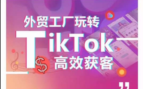 外贸工厂玩转TikTok高效获客,多种引流方式与账号定位技巧,拆解爆款短视频打造成功案例-高清美女套图,你想要的都有。
