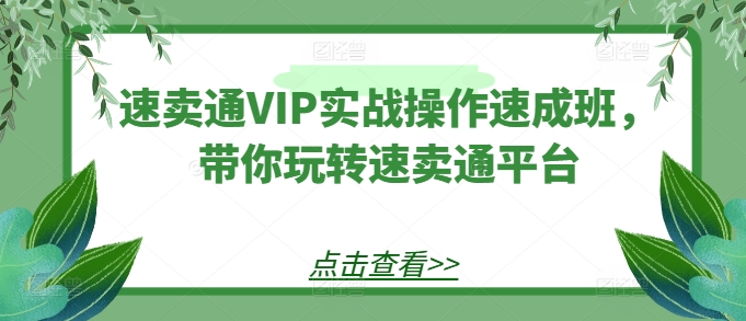 速卖通VIP实战操作速成班，带你玩转速卖通平台-高清美女套图，你想要的都有。
