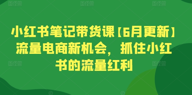 小红书笔记带货课【6月更新】流量电商新机会，抓住小红书的流量红利-高清美女套图，你想要的都有。