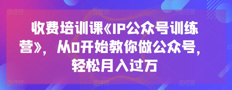 收费培训课《IP公众号训练营》，从0开始教你做公众号，轻松月入过万-高清美女套图，你想要的都有。