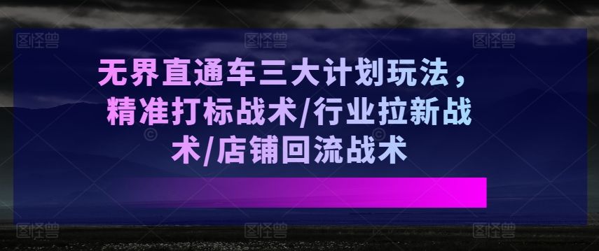 无界直通车三大计划玩法，精准打标战术/行业拉新战术/店铺回流战术-高清美女套图，你想要的都有。