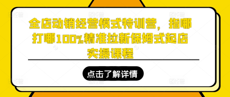 全店动销经营模式特训营，指哪打哪100%精准拉新保姆式起店实操课程-高清美女套图，你想要的都有。