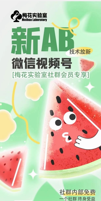 梅花实验室2024年AB技术视频号AB合成破解版-高清美女套图，你想要的都有。