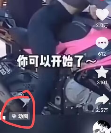 2024年7月苹果手机动图搬运技术-高清美女套图，你想要的都有。