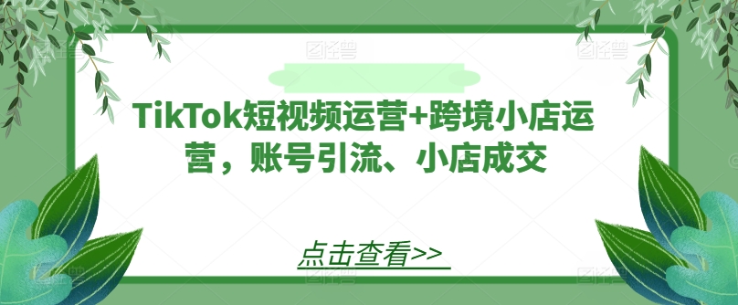 TikTok短视频运营+跨境小店运营，账号引流、小店成交-高清美女套图，你想要的都有。