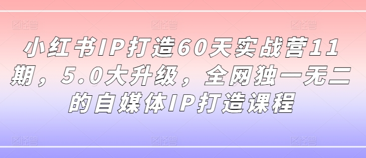 小红书IP打造60天实战营11期，5.0大升级，全网独一无二的自媒体IP打造课程-高清美女套图，你想要的都有。