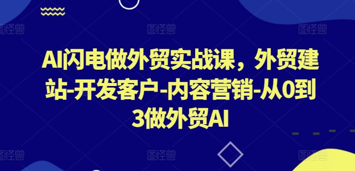 AI闪电做外贸实战课,外贸建站-开发客户-内容营销-从0到3做外贸AI(更新)-高清美女套图,你想要的都有。