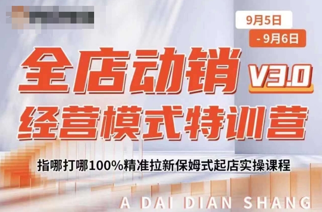 全店动销经营模式特训营,指哪打哪100%精准拉新保姆式起店实操课程-高清美女套图,你想要的都有。