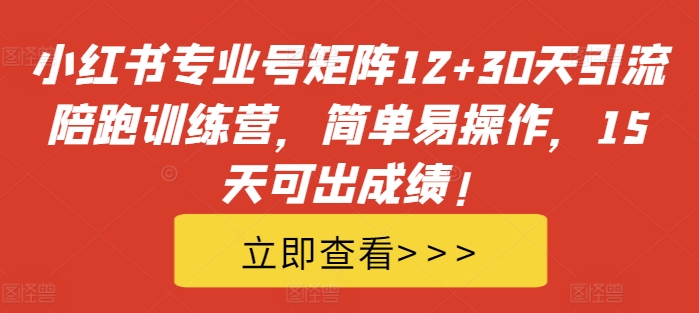 小红书专业号矩阵12+30天引流陪跑训练营，简单易操作，15天可出成绩!-高清美女套图，你想要的都有。