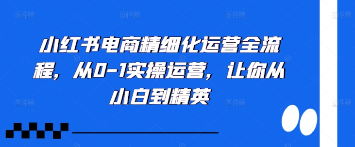 小红书电商精细化运营全流程，从0-1实操运营，让你从小白到精英-高清美女套图，你想要的都有。