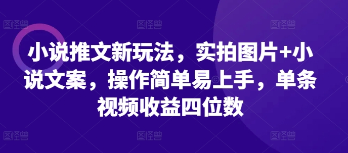 小说推文新玩法，实拍图片+小说文案，操作简单易上手，单条视频收益四位数-高清美女套图，你想要的都有。