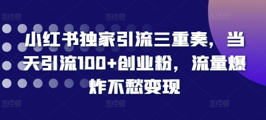 小红书独家引流三重奏，当天引流100+创业粉，流量爆炸不愁变现【揭秘】-高清美女套图，你想要的都有。