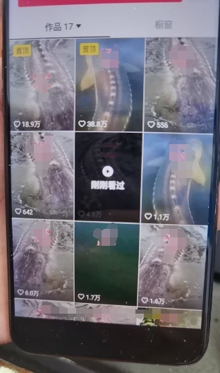 外面卖399的国学佛像原创暴力起号技术，快速起号，7天可达到一个万粉号-高清美女套图，你想要的都有。