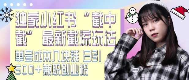 最新小红书截流玩法 独家截中截 单号成本几块钱 日引500+CY粉JZ粉-高清美女套图，你想要的都有。