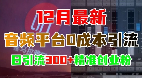 12月最新:音频平台0成本引流,日引流300+精准创业粉-高清美女套图,你想要的都有。